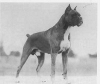 /album/%cf%80%ce%b7%ce%b3%ce%ae-%3a-boxernews-forumcommunity-net/%ce%b1%ce%bd%cf%84%ce%af%ce%b3%cf%81%ce%b1%cf%86%ce%bf-%282%29-%ce%b1%cf%80%cf%8c-1912137-628283647219369-791398901-n-jpg/